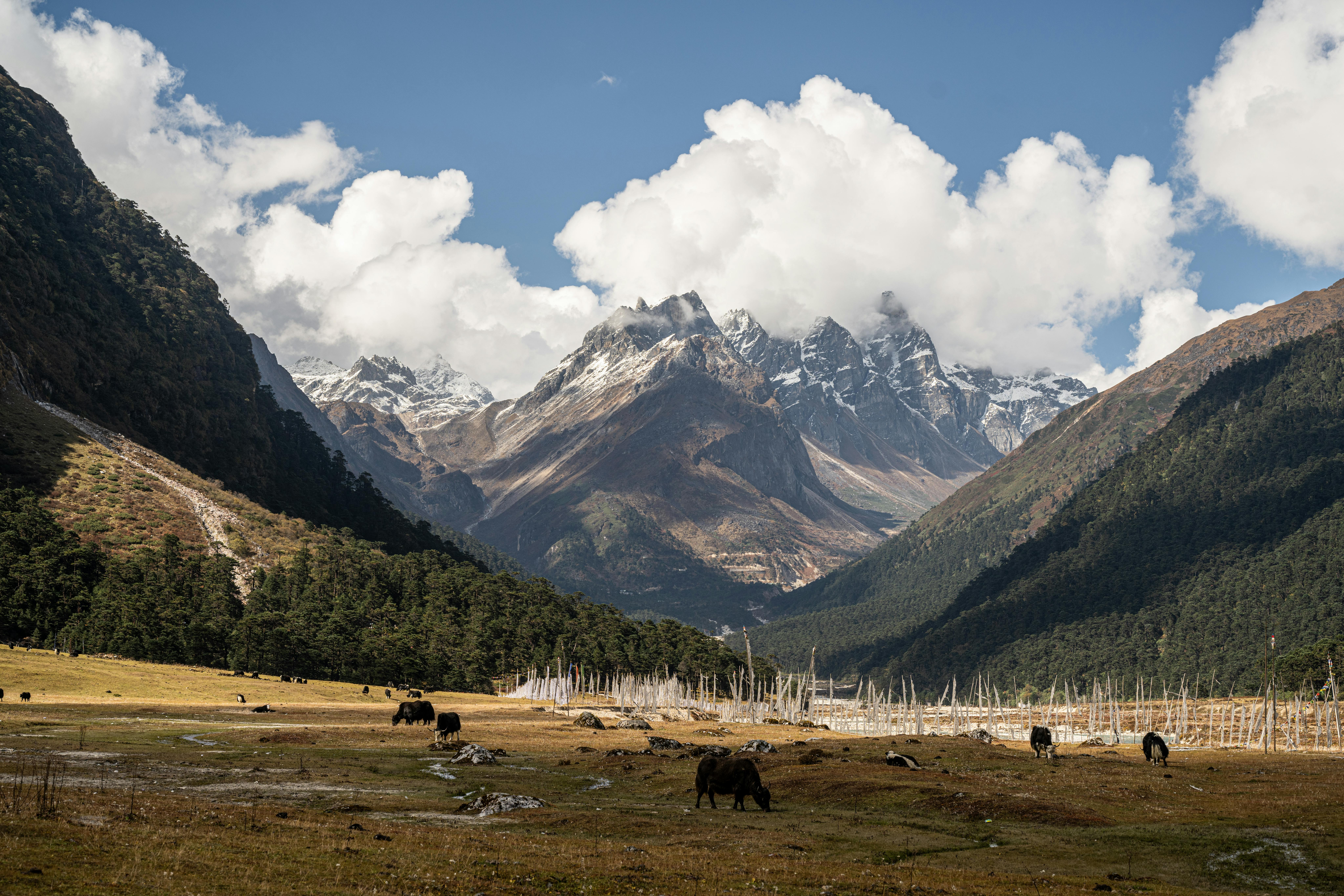 A Sikkim Darjeeling Tour To Soothe Your Soul