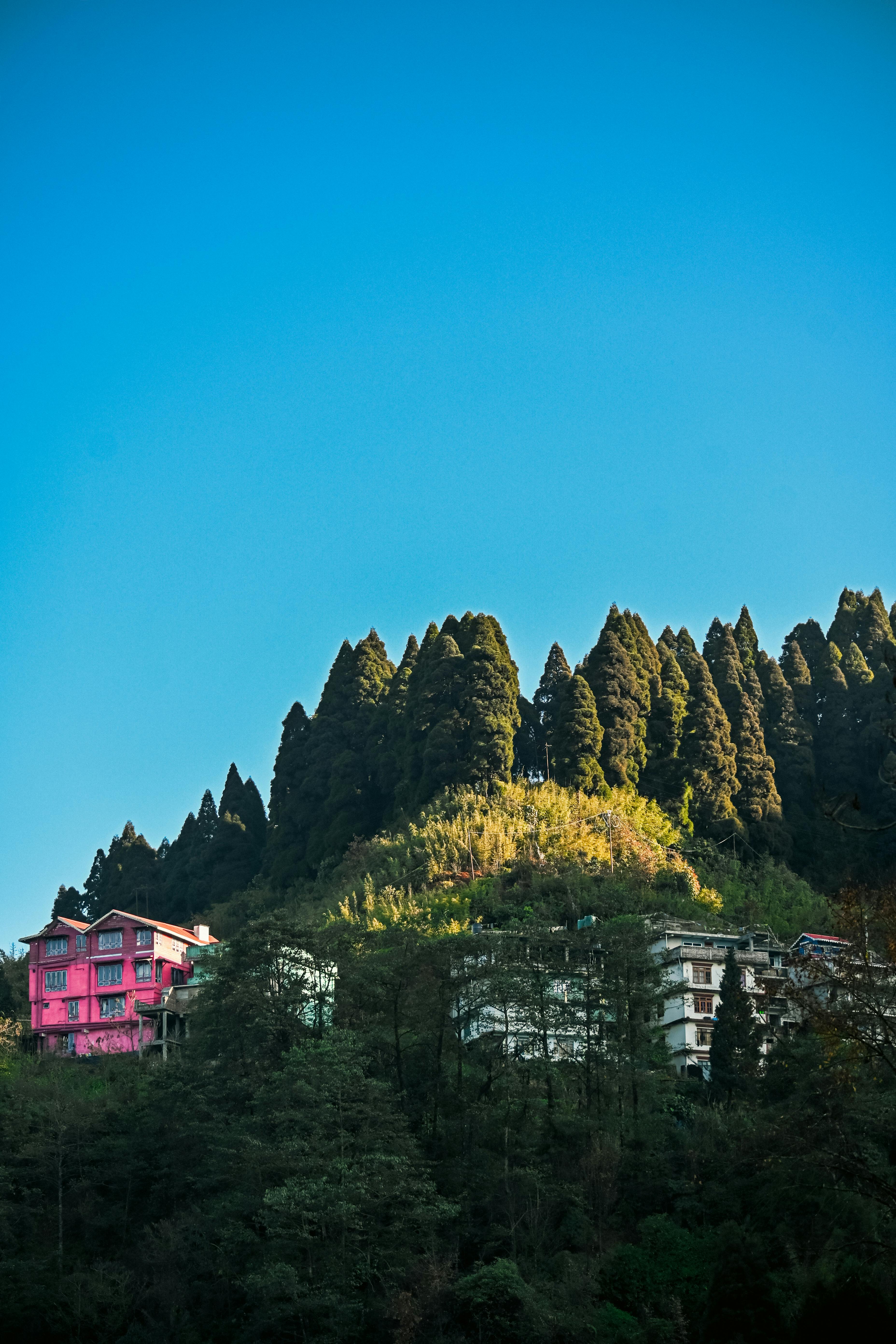 Explore Darjeeling And Gangtok, The Gem Of Northeast