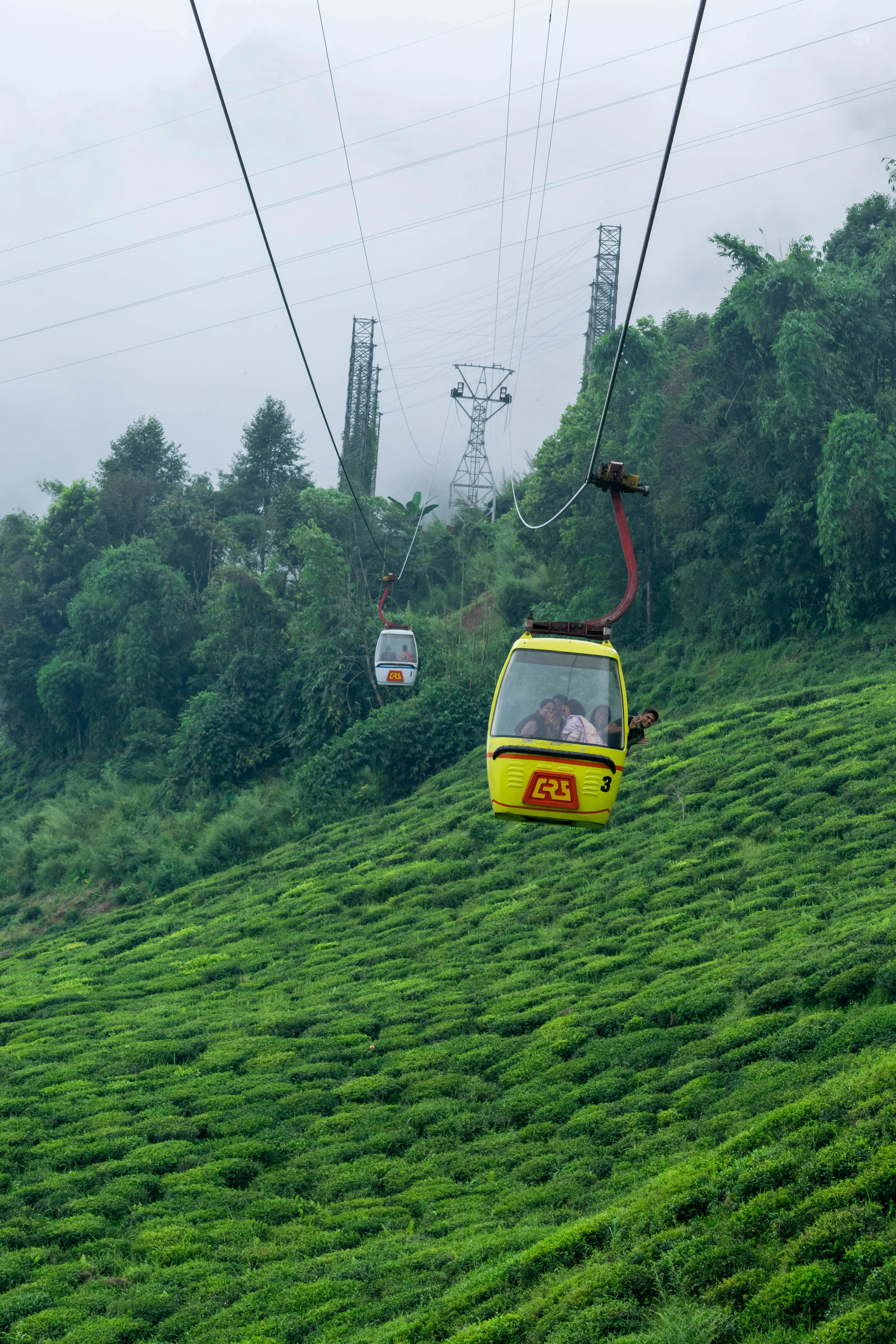 Darjeeling Gangtok Family Tour Package For 6 Days 